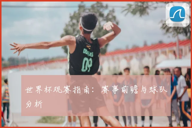 世界杯观赛指南：赛事前瞻与球队分析