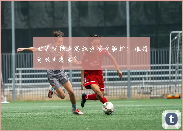世界杯预选赛积分榜全解析:谁将晋级决赛圈?