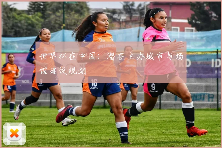 世界杯在中国：潜在主办城市与场馆建设规划